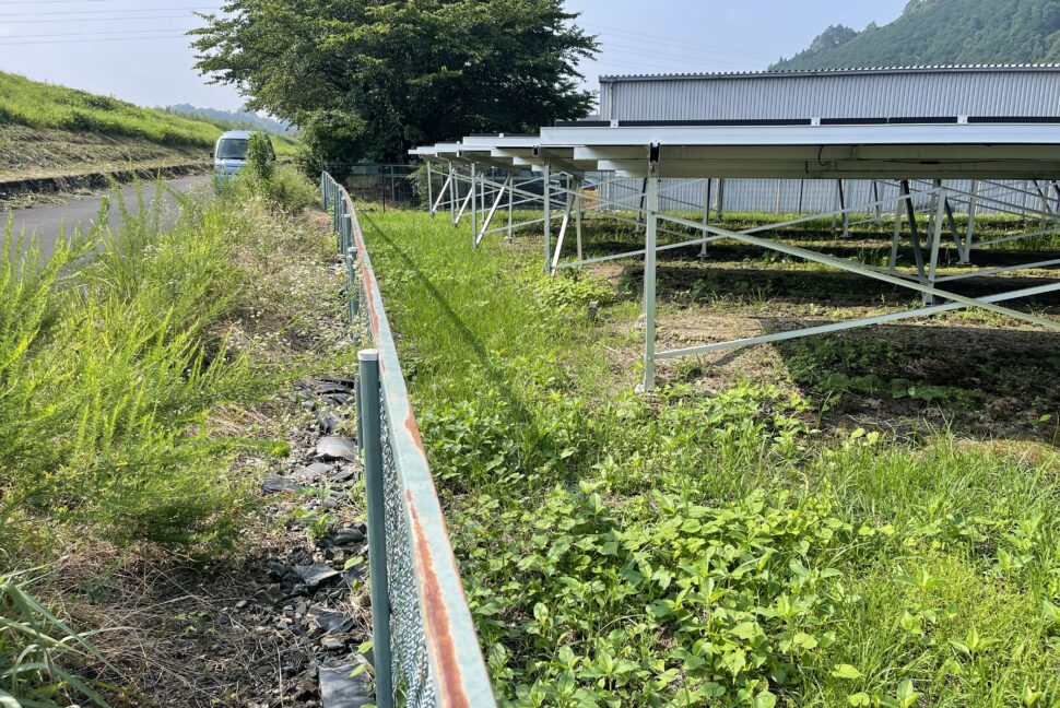 ソーラー発電施設の除草剤での雑草管理