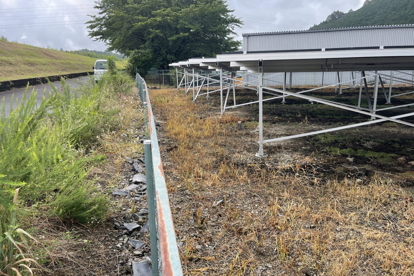 ソーラー発電施設の除草剤での雑草管理