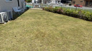 【年間管理】芝刈りと除草剤散布作業　浜松市浜北区